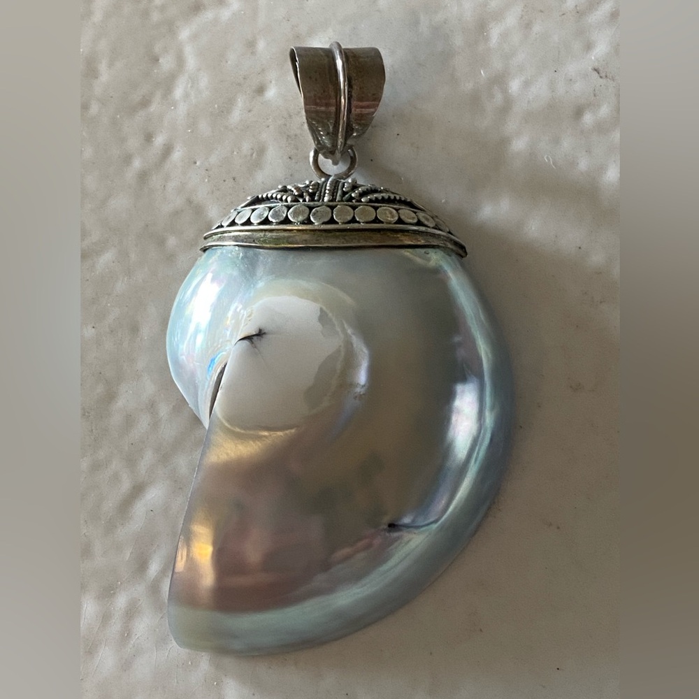 Shell Pendant set in Sterling